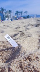 Cette semaine, BLG a accéléré le business de ses clients jusqu'à Barcelone.